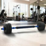 vidaXL 2-v-1 set činiek a činky 20kg 20kg Čierna a modrá