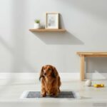 vidaXL Tréningová podložka pre domácich miláčikov 100 pcs 60 x 45 cm