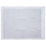 vidaXL Tréningová podložka pre domácich miláčikov 100 pcs 60 x 45 cm – Obrázok 8