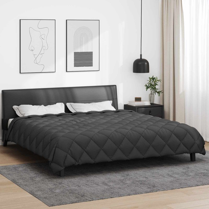 42025653_1.jpg vidaXL Zimný prehoz Antracit 220 x 240 cm Mikrovlákno – Obrázok 1