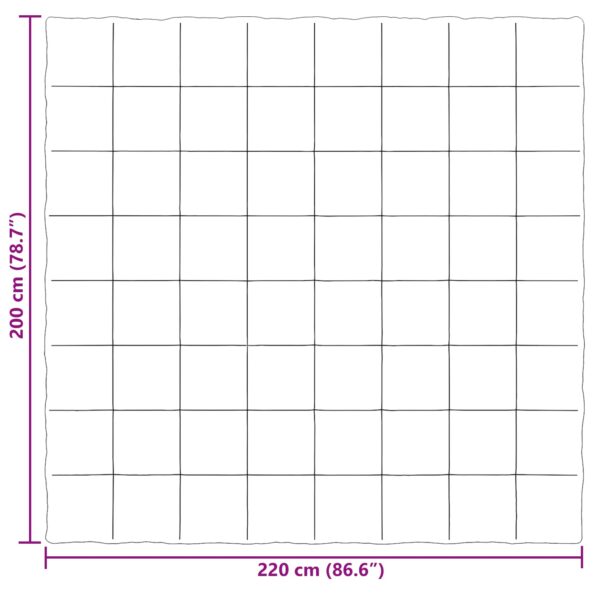 vidaXL Letná prikrývka Šnurovaný Antracit 200 x 220 cm Mikrovlákno – Obrázok 10