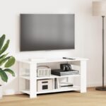 vidaXL Stojan na televízor Biela 100 x 40 x 50 cm