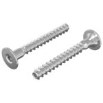 vidaXL Potvrdené skrutky 2 pcs Strieborná Ø5 x 40 mm Kov – Obrázok 2