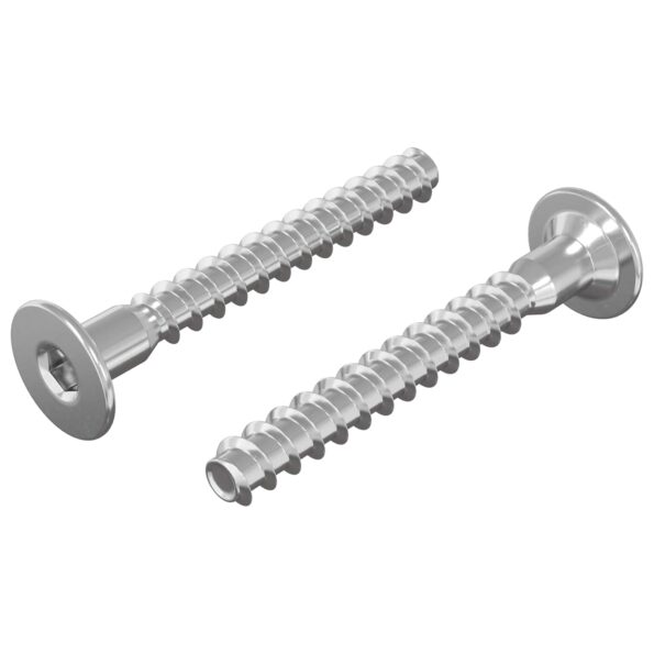 vidaXL Potvrdené skrutky 2 pcs Strieborná Ø5 x 40 mm Kov – Obrázok 2
