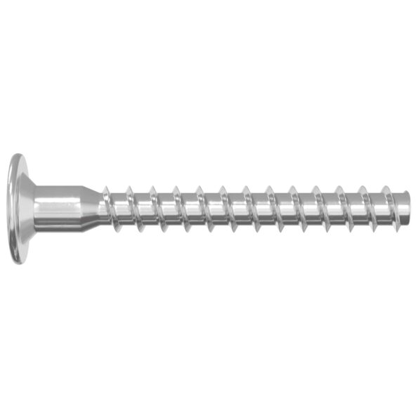 vidaXL Potvrdené skrutky 2 pcs Strieborná Ø5 x 40 mm Kov – Obrázok 4