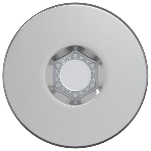 vidaXL Potvrdené skrutky 12 pcs Strieborná Ø5 x 40 mm Kov – Obrázok 3