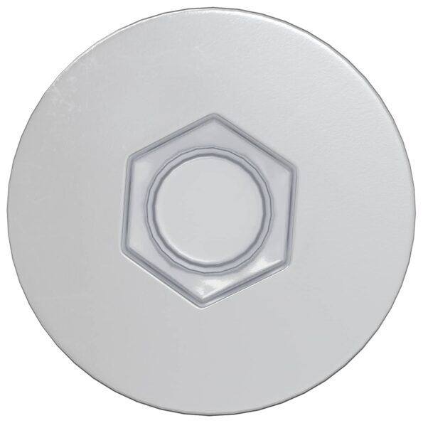 vidaXL Potvrdené skrutky 2 pcs Strieborná Kov – Obrázok 3