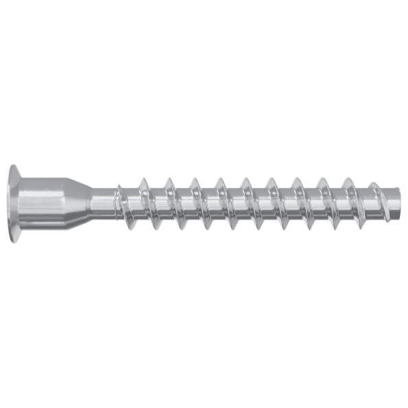 vidaXL Potvrdené skrutky 12 pcs Strieborná Ø7 x 50 mm Kov – Obrázok 4