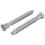vidaXL Potvrdené skrutky 2 pcs Strieborná Ø7 x 58 mm Kov – Obrázok 2