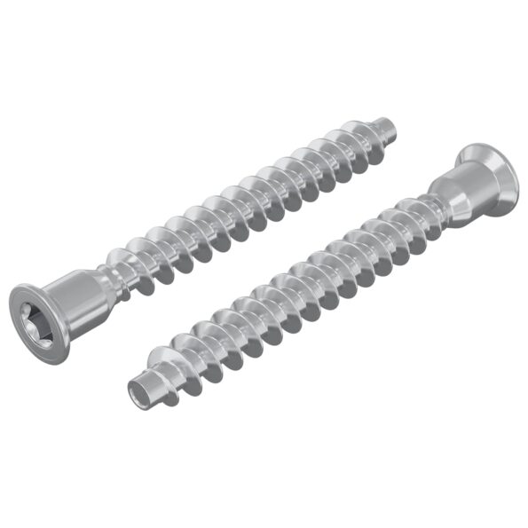 vidaXL Potvrdené skrutky 2 pcs Strieborná Ø7 x 58 mm Kov – Obrázok 2