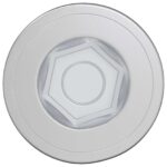 vidaXL Potvrdené skrutky 2 pcs Strieborná Ø7 x 58 mm Kov – Obrázok 3
