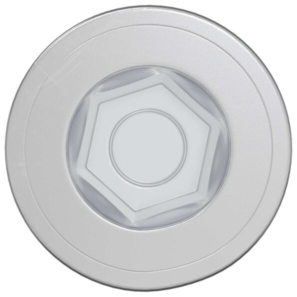 vidaXL Potvrdené skrutky 2 pcs Strieborná Ø7 x 58 mm Kov – Obrázok 3