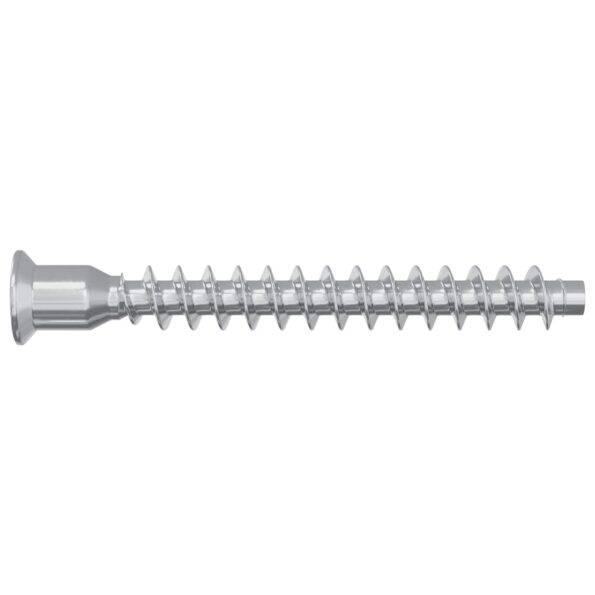 vidaXL Potvrdené skrutky 2 pcs Strieborná Ø7 x 58 mm Kov – Obrázok 4