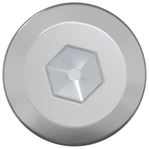 vidaXL Drevo skrutky 2 pcs Strieborná M6 x 70 mm Oceľ – Obrázok 3