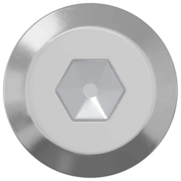 vidaXL Skrutka 2 pcs Strieborná M6 x 100 mm Oceľ – Obrázok 3