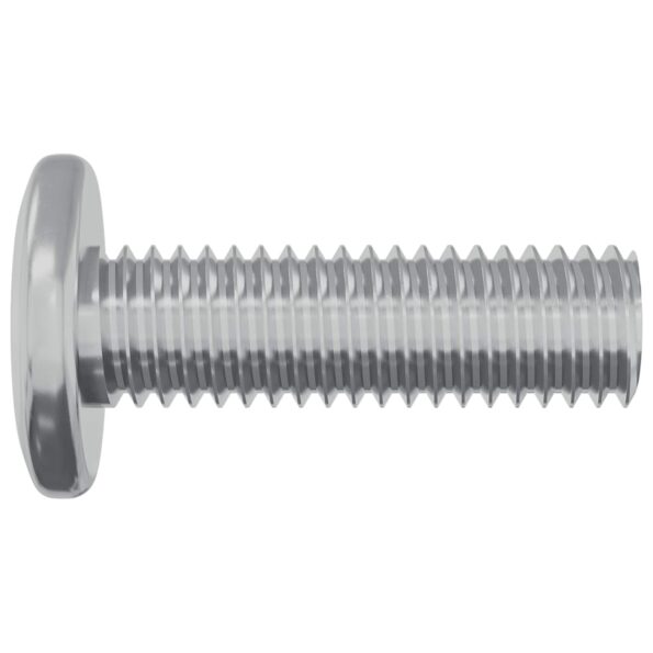vidaXL Skrutka 2 pcs Strieborná 8 x 25 mm Oceľ – Obrázok 4