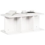 vidaXL Konferenčný stolík Biela 80 x 39,5 x 33,5 cm Borovicový masív – Obrázok 3