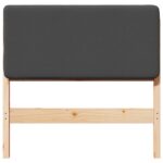 vidaXL Čalúnené čelo postele s čelnou doskou Hnedá a tmavošedá 75 cm – Obrázok 4