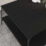 vidaXL Konferenčný stolík Čierny dub 100 x 100 x 40 cm – Obrázok 4