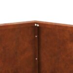 vidaXL Hrantík 2 pcs Hrdzavý 50 x 50 x 40 cm – Obrázok 11