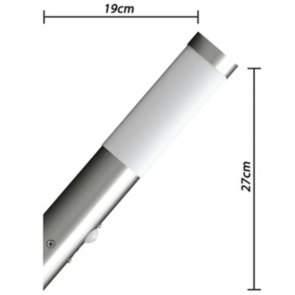 -b-lampmuschbusssens – Obrázok 4