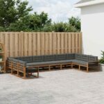 vidaXL Záhradná súprava gaučov 10 pcs Prírodná a antracitová