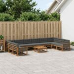 vidaXL Záhradná súprava gaučov 11 pcs Prírodná a antracitová