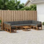 vidaXL Záhradná súprava gaučov 11 pcs Prírodná a antracitová