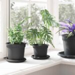 vidaXL Kvetináče 6 pcs Čierna Ø 12,5 x 10 cm Plast – Obrázok 4