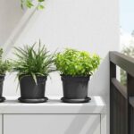 vidaXL Kvetináče 6 pcs Čierna Ø 15 x 12 cm Plast