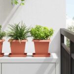 vidaXL Kvetináče 6 pcs Tehlovo červená 16 x 16 x 14 cm Plast