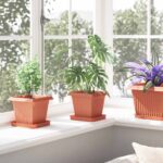 vidaXL Kvetináče 6 pcs Tehlovo červená 16 x 16 x 14 cm Plast – Obrázok 4