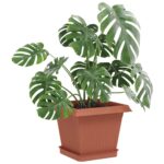 vidaXL Kvetináče 6 pcs Tehlovo červená 20 x 20 x 16 cm Plast – Obrázok 3