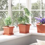 vidaXL Kvetináče 6 pcs Tehlovo červená 20 x 20 x 16 cm Plast – Obrázok 4
