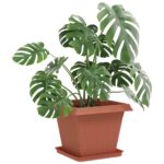 vidaXL Kvetináče 6 pcs Tehlovo červená 38 x 38 x 30 cm Plast – Obrázok 3