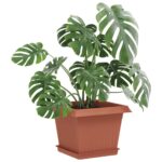 vidaXL Kvetináče 24 pcs Tehlovo červená 23 x 23 x 17,5 cm Plast – Obrázok 3