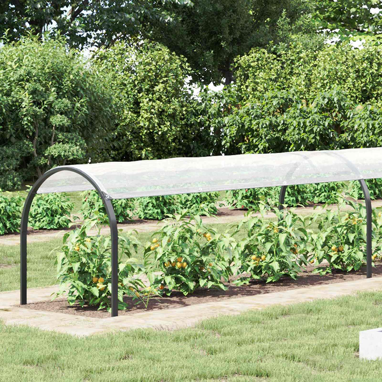 3429301_1.jpg vidaXL Pokrytie rastlín Priehľadná 20 x 1,5 m PE – Obrázok 1
