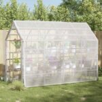 vidaXL Pokrytie rastlín Priehľadná 5 × 3,5 m PE