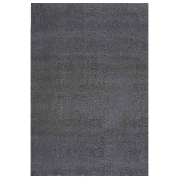 vidaXL Huňatý koberec antracitový 240x340 cm polyester – Obrázok 2