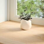 vidaXL Parapety 2 ks neošetrené 80x15x2 cm masívne dubové drevo – Obrázok 3