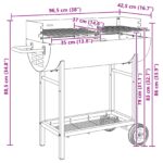 vidaXL Uhlíkový gril 96,5 x 42,5 x 88,5 cm Čierny – Obrázok 9
