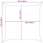 vidaXL Slnečná plachta Modrá a biela 2,5 x 2,5 m 100% polyester Oxford – Obrázok 10