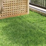 vidaXL Umelá tráva Zelená 1 x 8 m / 50 mm PP & PE – Obrázok 3