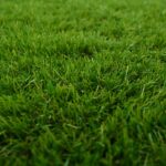 vidaXL Umelá tráva Zelená 1 x 8 m / 50 mm PP & PE – Obrázok 9