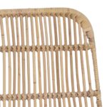 vidaXL Jedálenská stolička 2 pcs Prírodná 41 x 55 x 85 cm Ratan a oceľ – Obrázok 8