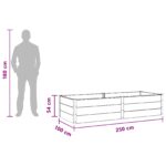 vidaXL Vyvýšený záhradný záhon Čierna 250 x 100 x 54 cm – Obrázok 7