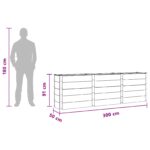 vidaXL Vyvýšený záhradný záhon Čierna 300 x 50 x 91 cm – Obrázok 7