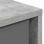 vidaXL Servírovacia skriňa so zásuvkou Betónová šedá 49,5 x 22 x 47 cm – Obrázok 9
