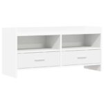 vidaXL TV skrinka 100 x 33 x 47 cm Biela Kompozitné drevo