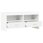 vidaXL TV skrinka 100 x 33 x 47 cm Biela Kompozitné drevo – Obrázok 3
